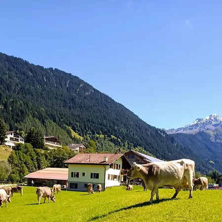 Séjour à la ferme Bauernhof Sot Curtegns Savognin